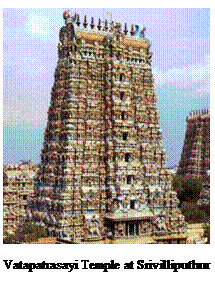 Tekstvak:  

Vatapatrasayi Temple at Srivilliputhur
