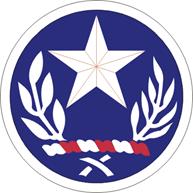 Texas Army National Guard Shoulder Sleeve Insignia